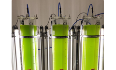 síbiotech - Photobioreactor-based Microalgae Cultivation Technology for Omega-3 Extraction