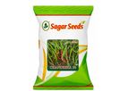 Sagar - Model Chandrika-30 - Chilli Seed