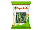 Sagar - Model Shruti - Cucumber Seed