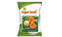 Sagar - Model Chandan - Muskmelon Seed
