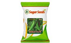 Sagar - Model Shravani - Cucumber Seed