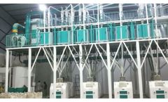 100TPD Corn Flour Milling Equipment | High-Efficiency Maize Processing Line - Video