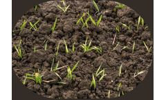 Soil Ecosystem