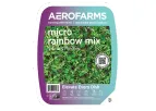AeroFarms - Micro Rainbow Mix Vibrant Medley