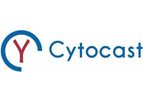 CYTOCAST - DIGITAL TWIN Platform for Precision Medicine