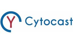 CYTOCAST - DIGITAL TWIN Platform for Precision Medicine
