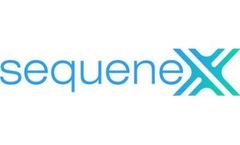 Custom Software Development Service