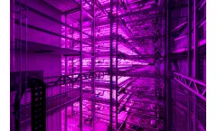 HT Verboom - Multilayer Cultivation Systems for Optimal Crop Growth