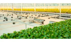 HT Verboom - Mobile Container Systems for Greenhouses