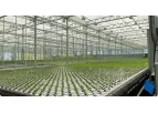 HT Verboom - Mobile Gutter System for Greenhouses