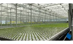 HT Verboom - Mobile Gutter System for Greenhouses