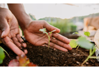 Aura Verde - SerCo Compost Soil