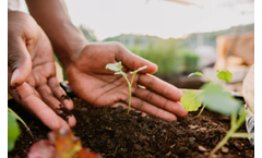 Aura Verde - SerCo Compost Soil