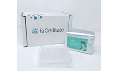 faCellitate BIOFLOAT - Model F224384 - 384-Well Plates for Spheroid Cell Culture
