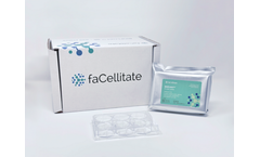 faCellitate BIOFLOAT - Model F202302 - 6-well Plate