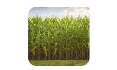Drying, Torrefying and Charring Biomass Solutions for Bio Fertilizer