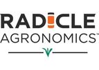 Radicle Research Services