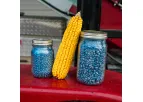 Natures Formula - Model Bio-Charge - Boost Seedling Growth & Vigor with Microbial Fertilizer