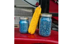 Natures Formula - Model Bio-Charge - Boost Seedling Growth & Vigor with Microbial Fertilizer