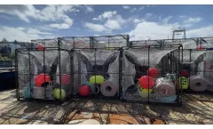 Conventional Pots and Traps