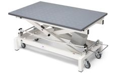 Wesseling - Stabilo Compact Electric Grooming Tables without Wheels