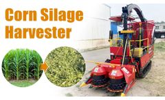 Hot-Selling Corn Silage Harvesting Machine | How Does Maize Silage Harvester Machine Work?- Video