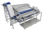 SPOLEX - Linear Vibrating Fillers for Chunky Products