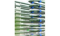 SBM Algae - Glass Photobioreactors