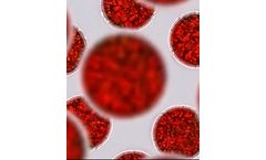 SBM Algae - Haematococcus Pluvialis Alga