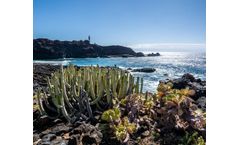 Wave Energy Converter (WEC) for Water Supplied to Farmers in Arid Regions