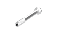 RemeOs - Model Screw? LAG - Absorbable Osteopromotive Screw