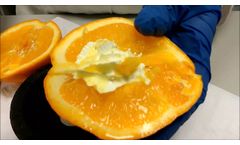 Single Phase Acrylic Bone Cement - Video