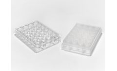 Caplugs - 24-Well Microplates, Flat Bottom