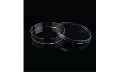 GMP Plastic - 150mm Tissue Culture Dishes