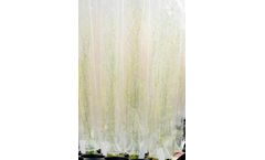 Aratube - Seed Guide Tube (360 pcs)