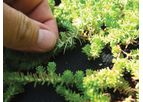 GroSoxx - Vegetated Filter Sock for Stormwater Management