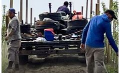 Walton Lumber - Orchard Trellis System