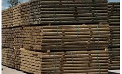 Walton Lumber - Treated Tapered Posts