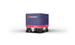 TrapOx - Contaminant Degradation System