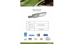 SED - 250W Outdoor LED Street Light with CCTV Camera - Brochure