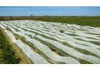 DrapeNet - Cherry Weave Netting for Crop Protection