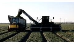 VOGEL Engineering - Spinach Harvesting Machine