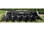PWL MasterFlow - Corn Header