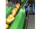 GreenSort Vision - Optical Fruit Sorting Machine