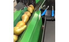 GreenSort Vision - Optical Fruit Sorting Machine