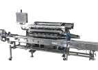 MILBOR PMC - 6-Scale Blueberry Weigh and Fill Machine