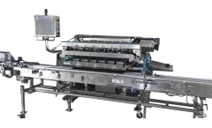 MILBOR PMC - 6-Scale Blueberry Weigh and Fill Machine