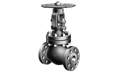 Zebco - Globe Valves
