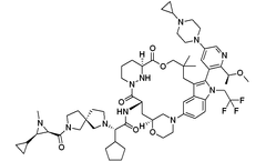 TargetMol - Model RMC-9805 - Inhibitor