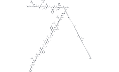TargetMol - Model T19850 - Semaglutide